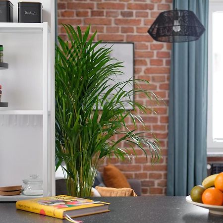 Mikroklimatyczny Apartament Dla 4 Osob - Blisko Szlakow, W Centrum شكلارسكا بوريبا المظهر الخارجي الصورة